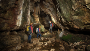 découvrez les avens de lozère lors d'une exploration spéléologique passionnante au cœur des cévennes, un véritable paradis pour les amateurs d'aventures souterraines et de paysages naturels préservés.